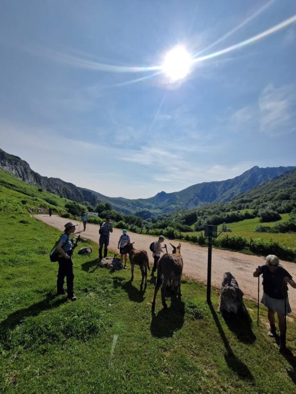 Hiking the Picos de Europa: Northern Spain’s Finest Trails