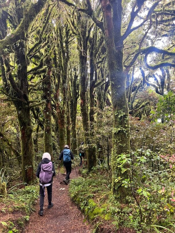 Hiking Mount Taranaki