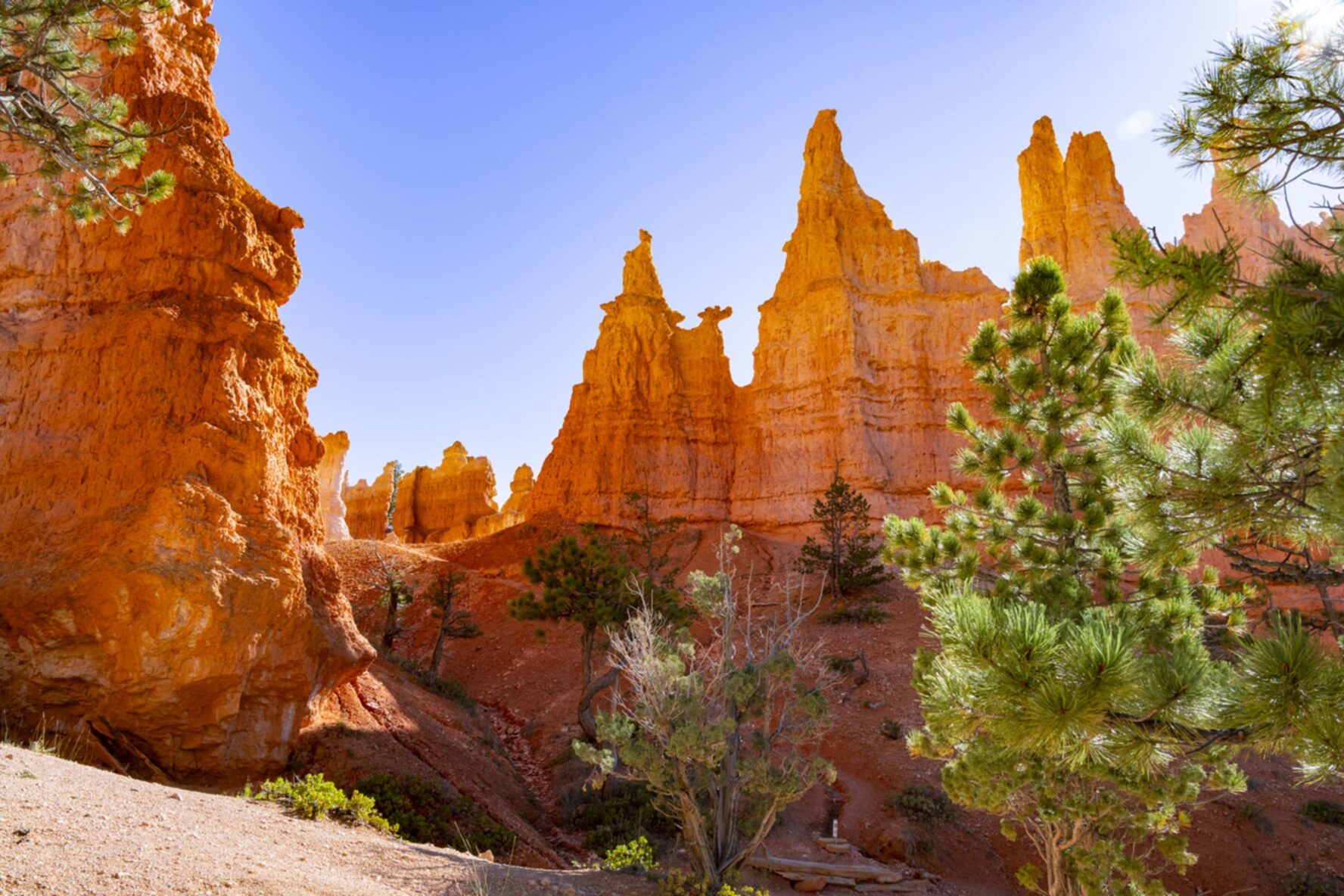 Hoodoo Queen Victoria Bryce