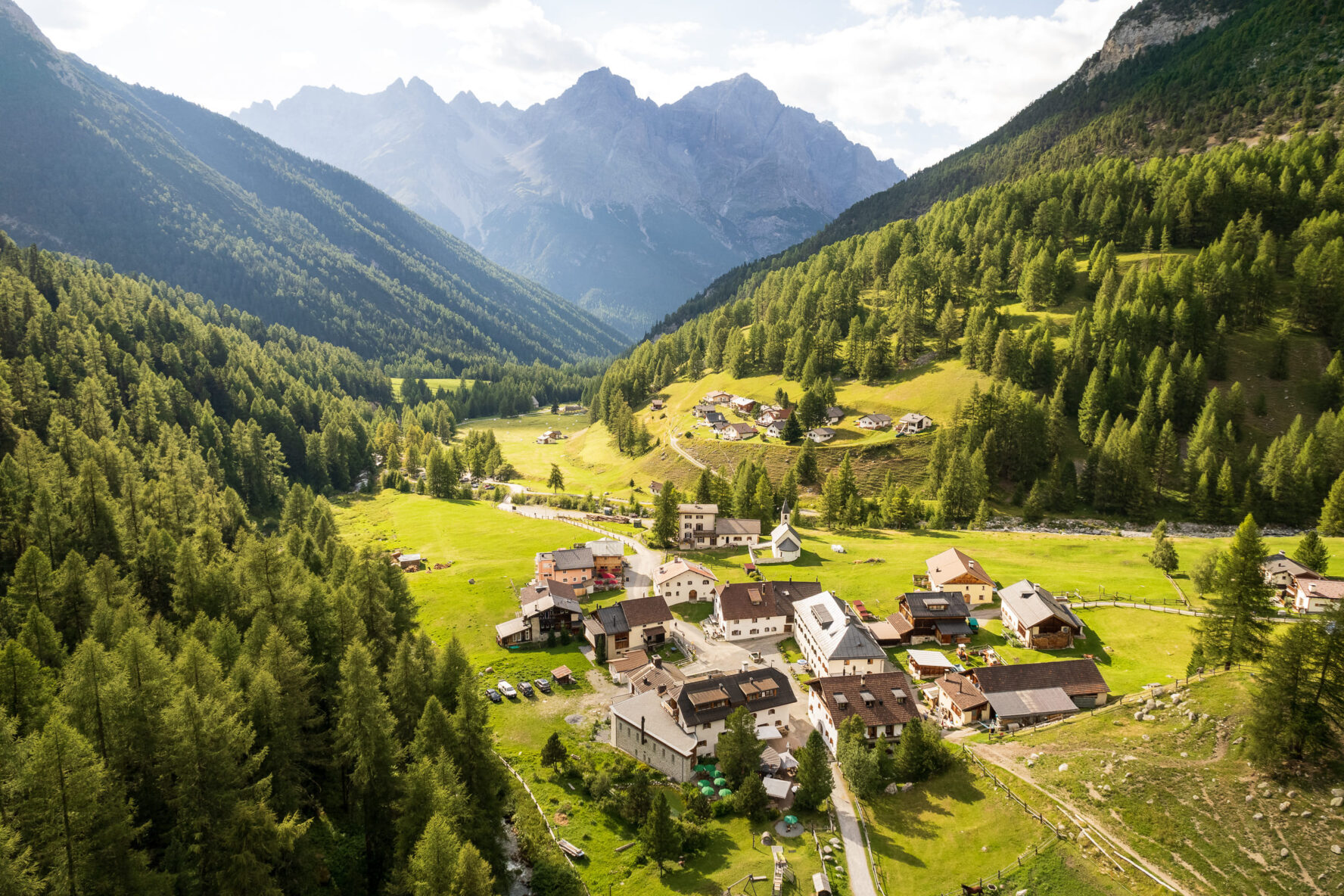 Lush aerial Alps view