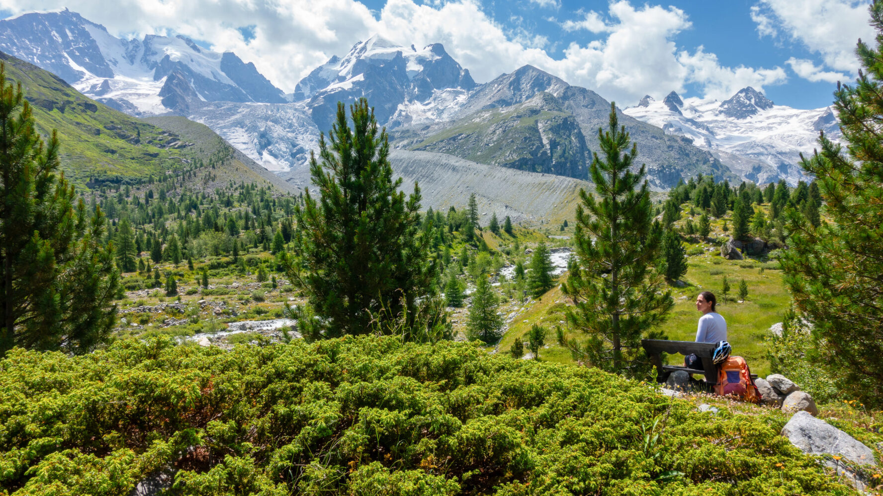 Lush woods in the Alps