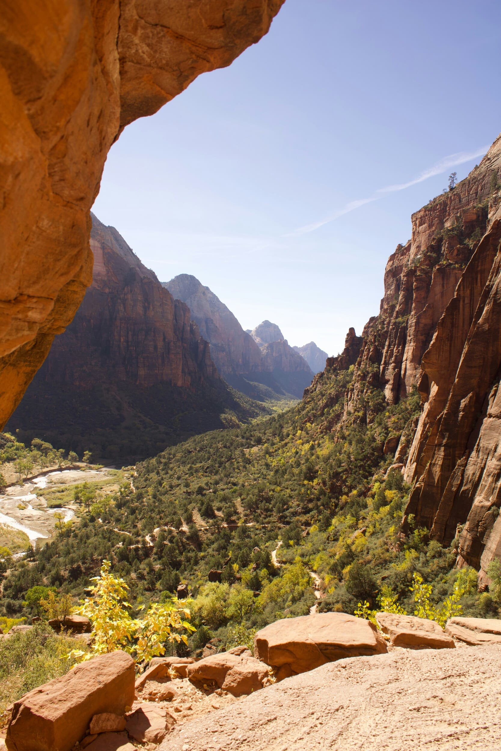 Lush Zion views