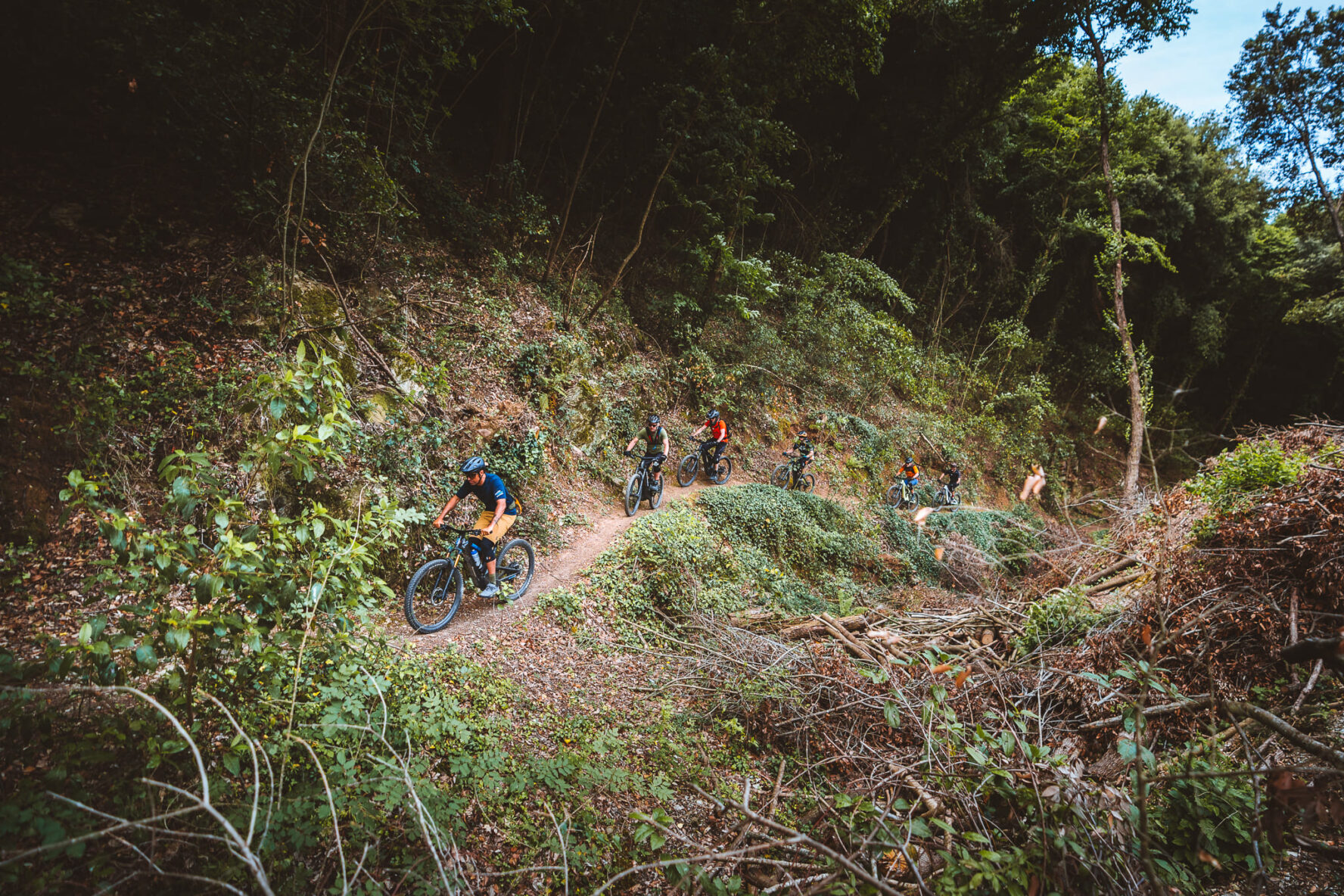Monte Calvi trail