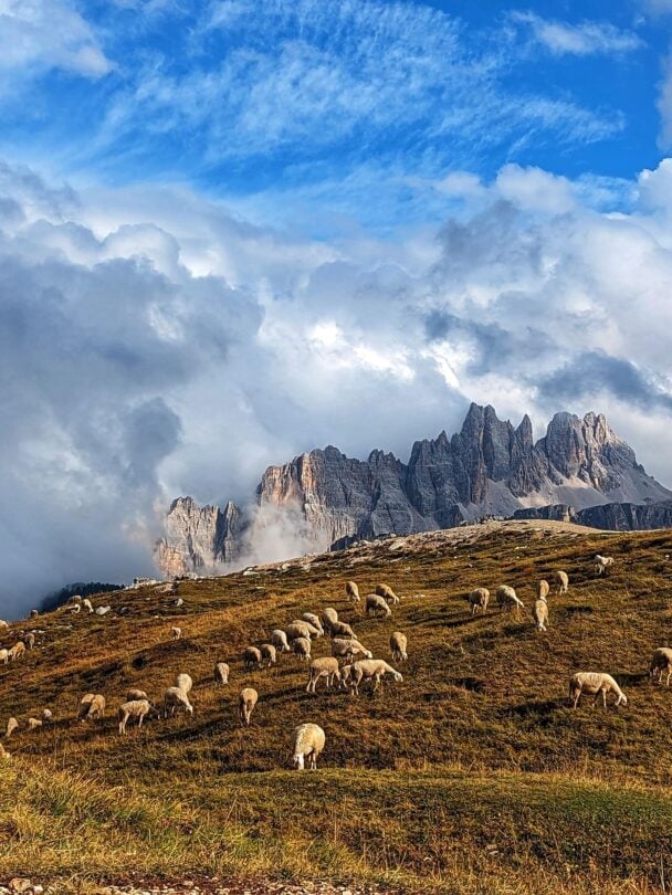 Dolomites trail running
