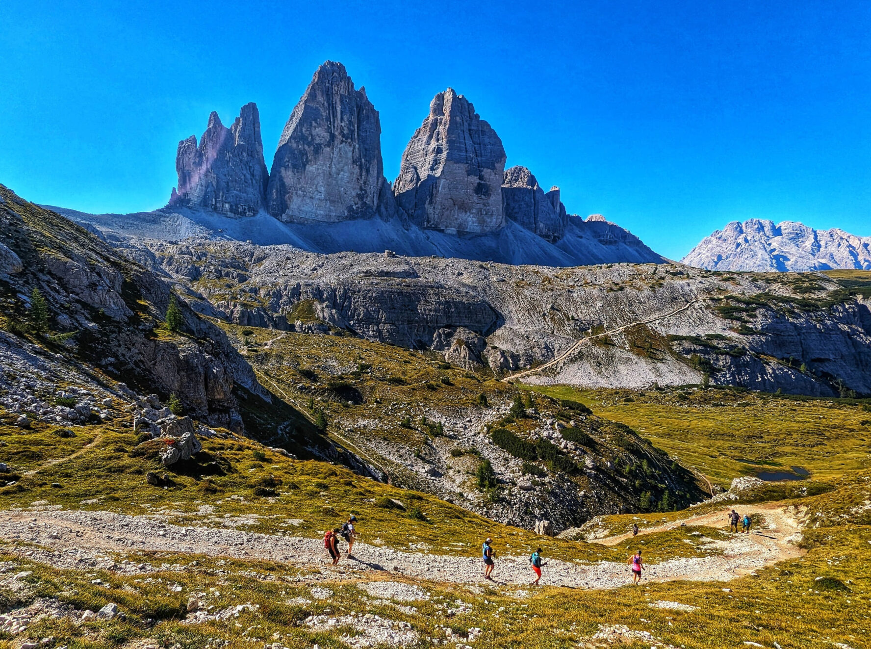 Multiple runners on a trail