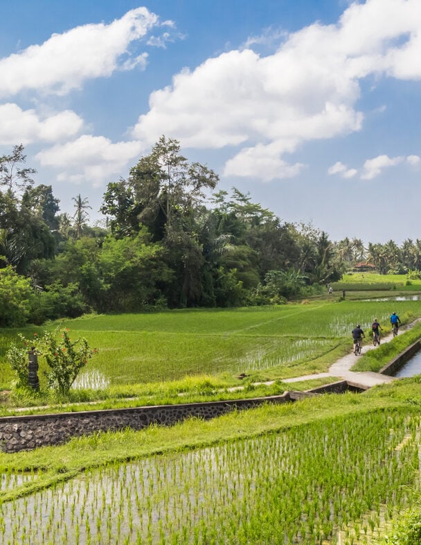 Bali mountain biking tour