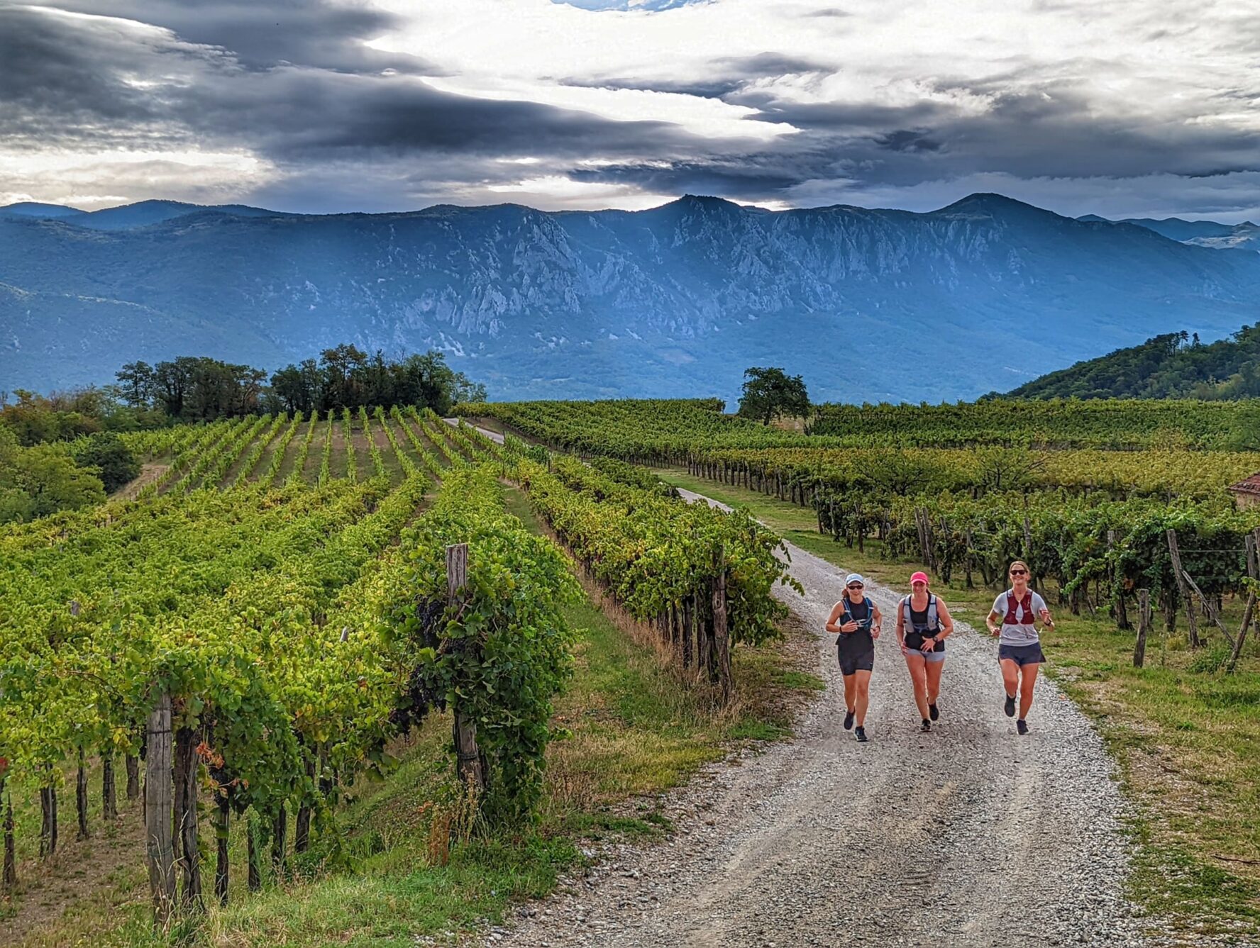 Running in wine country