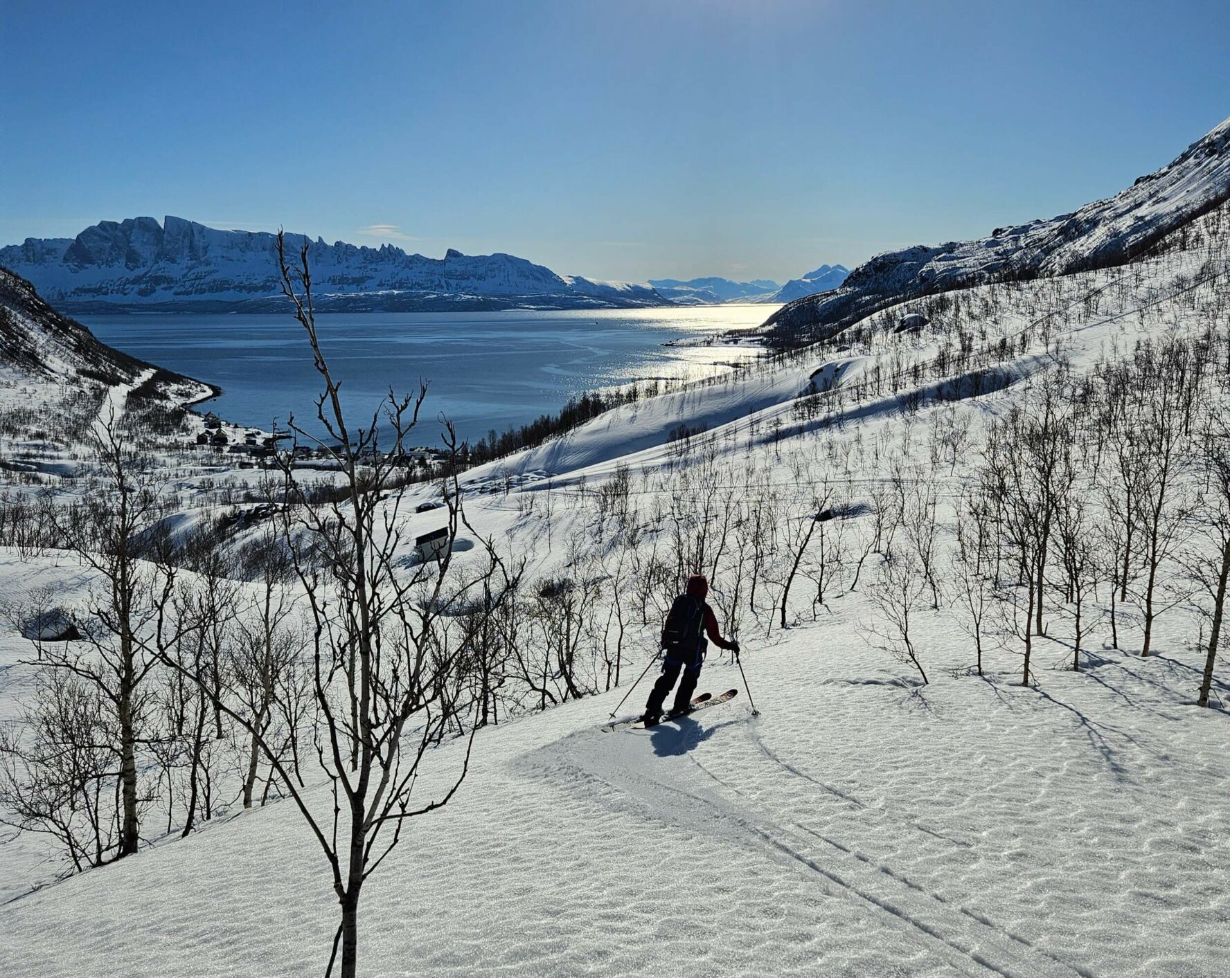 A skier on a mountaintop in Norway, with trees along the slope