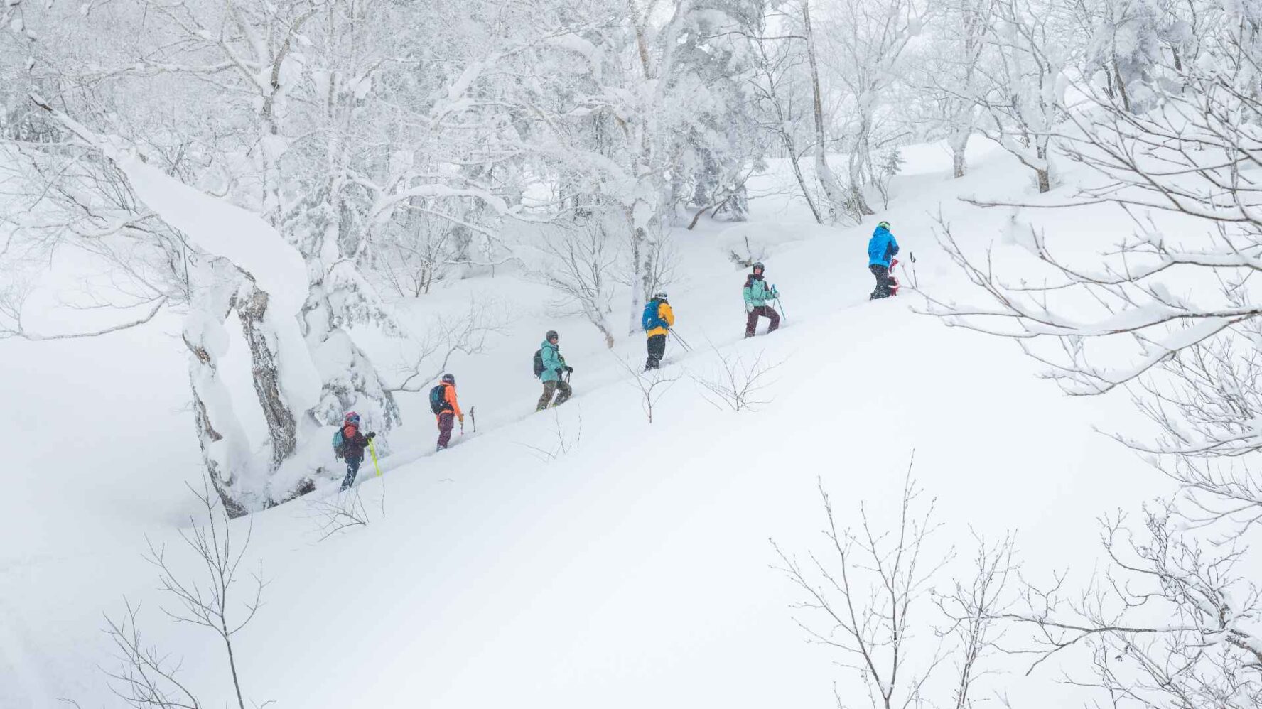 Skiers deep in powder