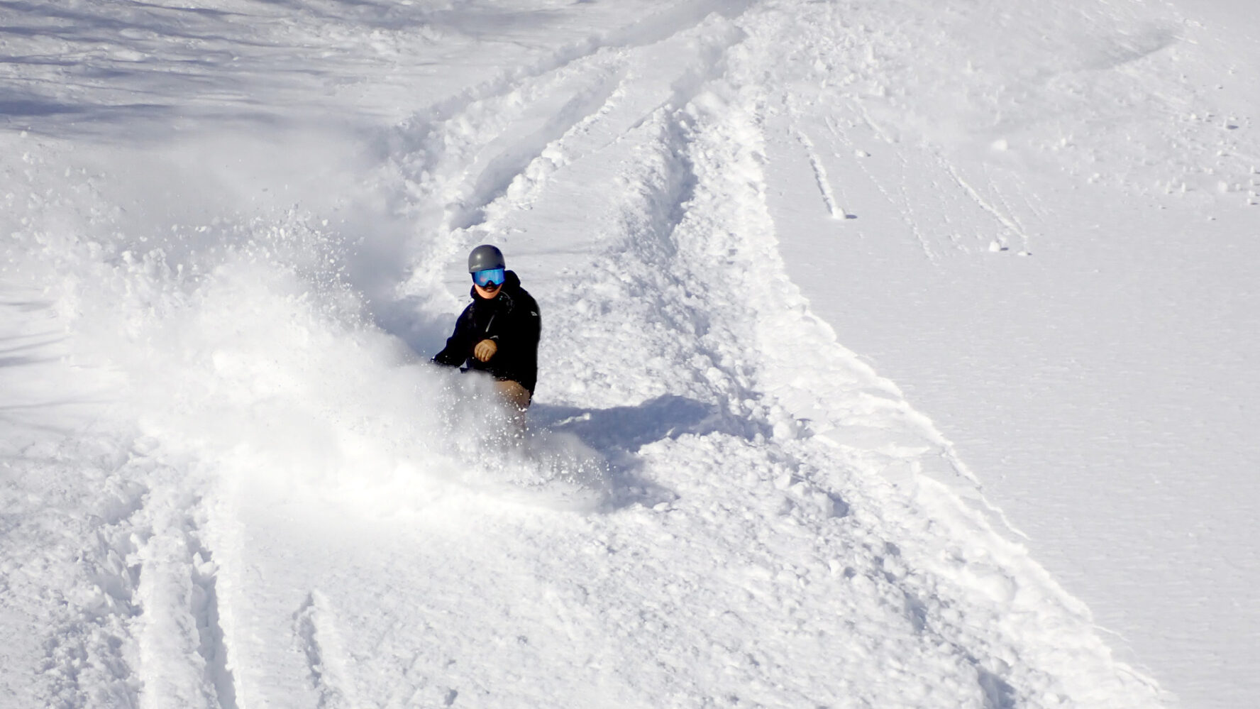Skiing on fresh powder