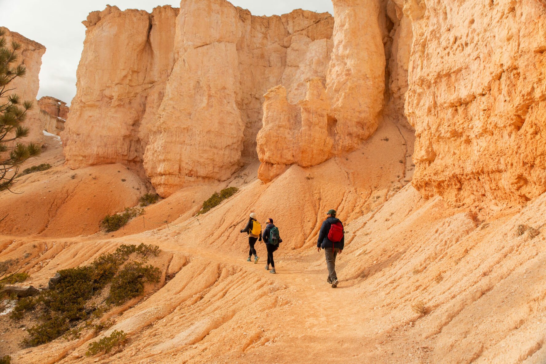Three hikers in Utah on a camping trip