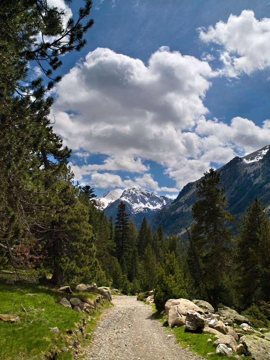 A trail in Aiguestortes National Park