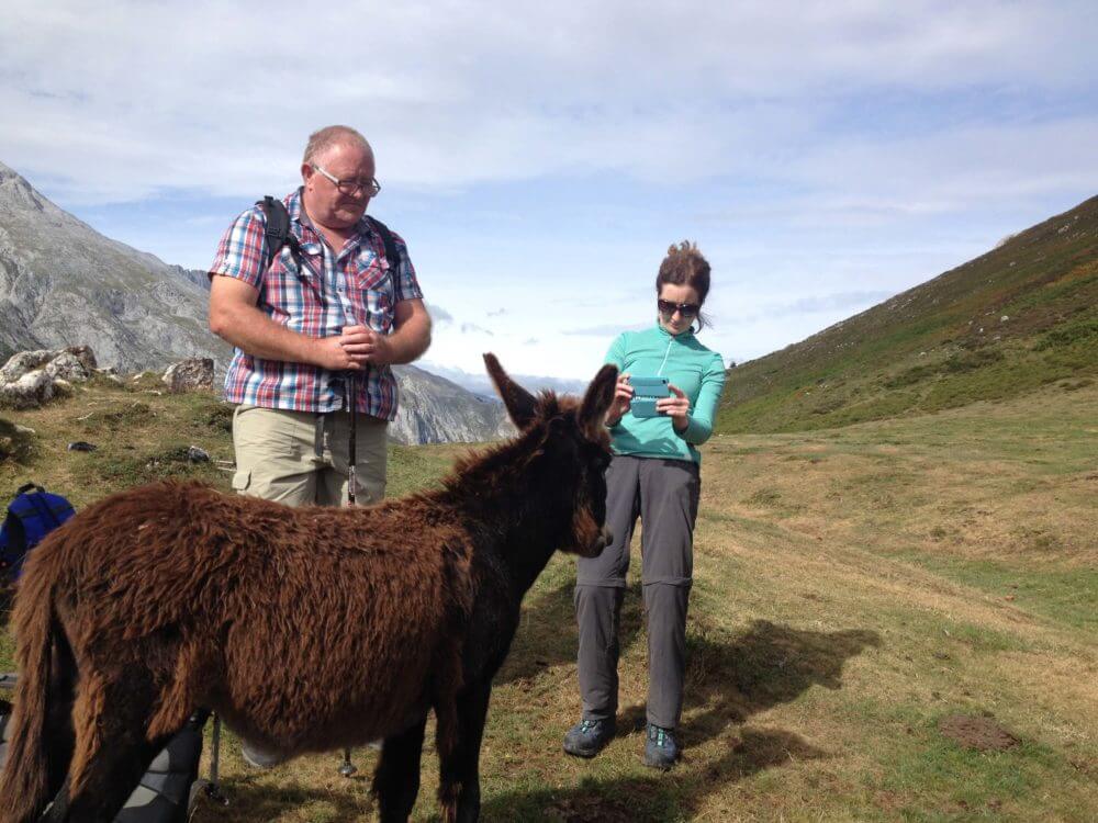 Two hikers meet a donkey on a mountain trail