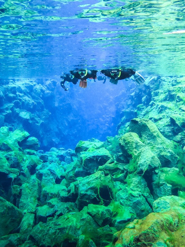 two snorkeling silfra