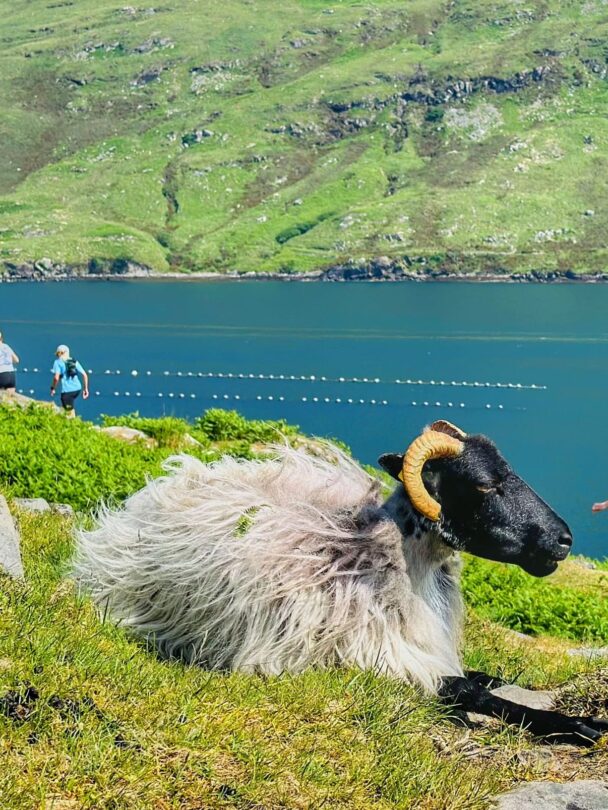 Ireland trail running tour