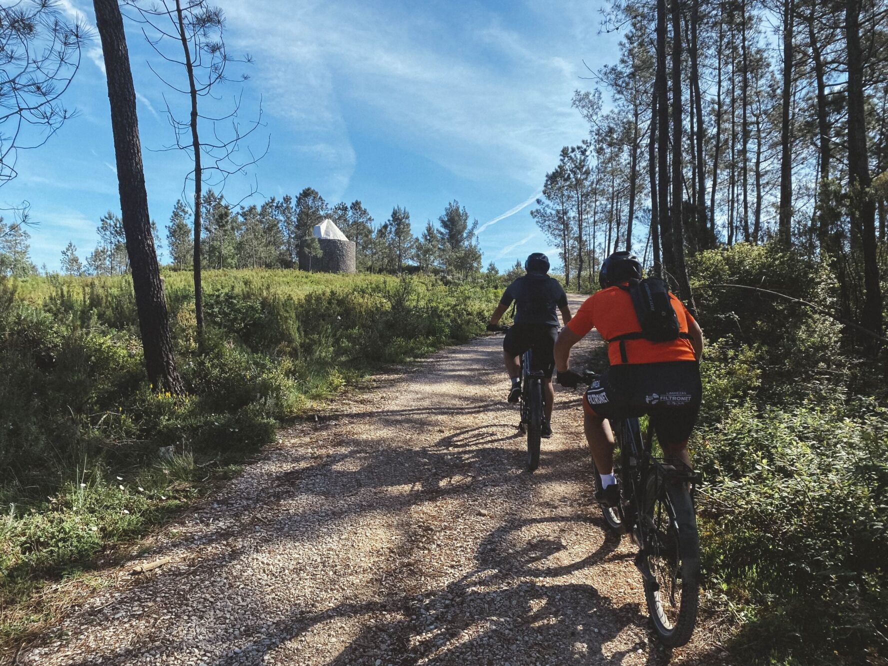 Biking through the woods