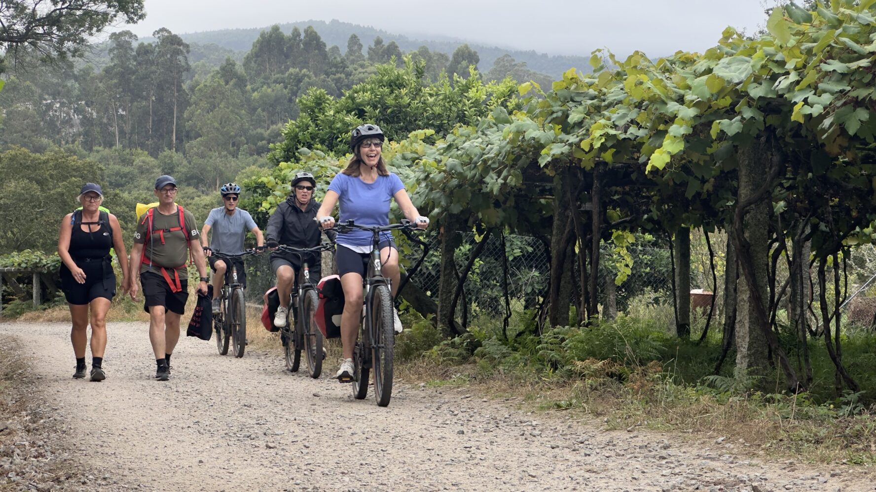 On the way to Santiago de Compostela