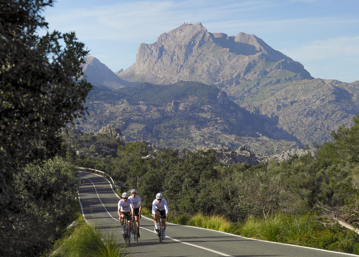 Cyclists on a road in Mallorca