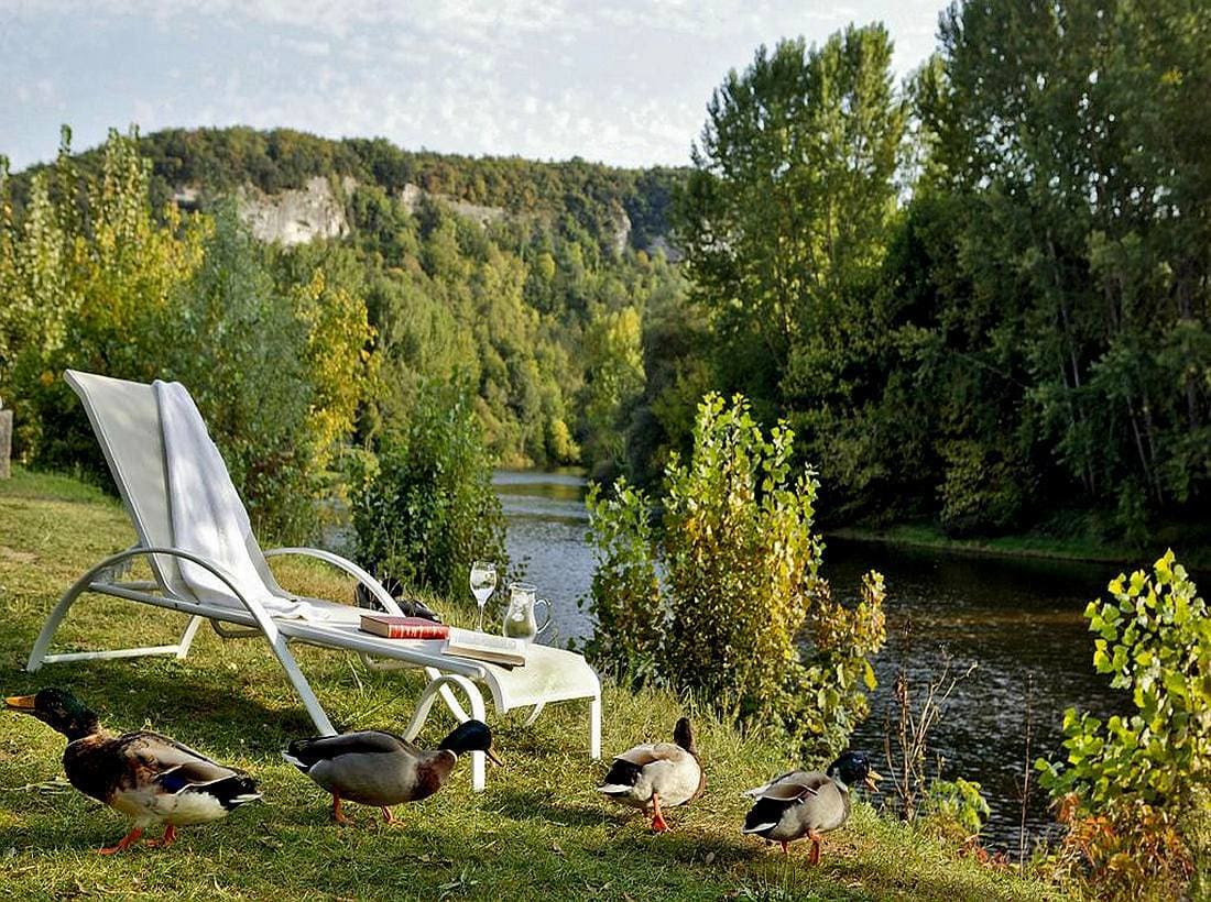 Ducks near Dordogne