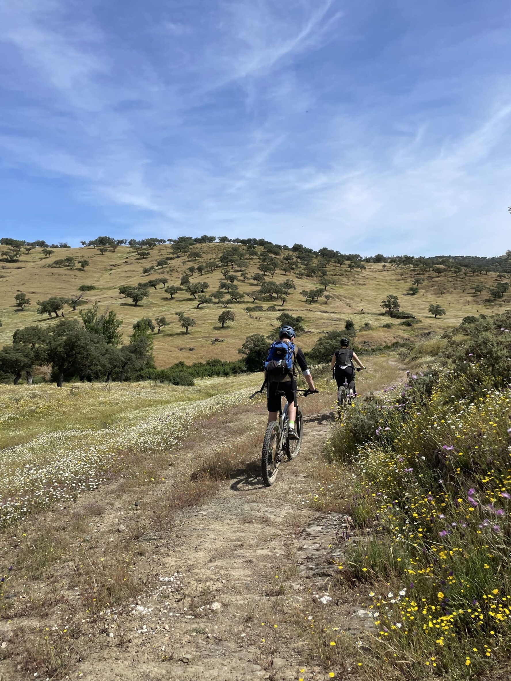 e-MTB on a green trail in Andalucia