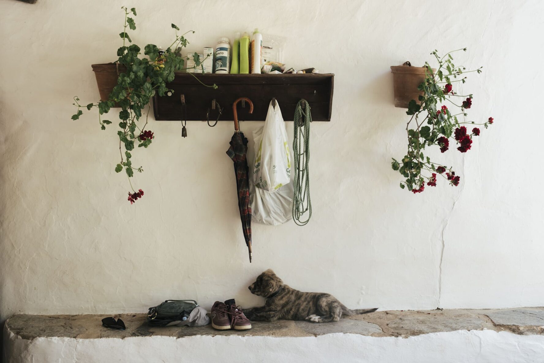 Finca cute Andalucia