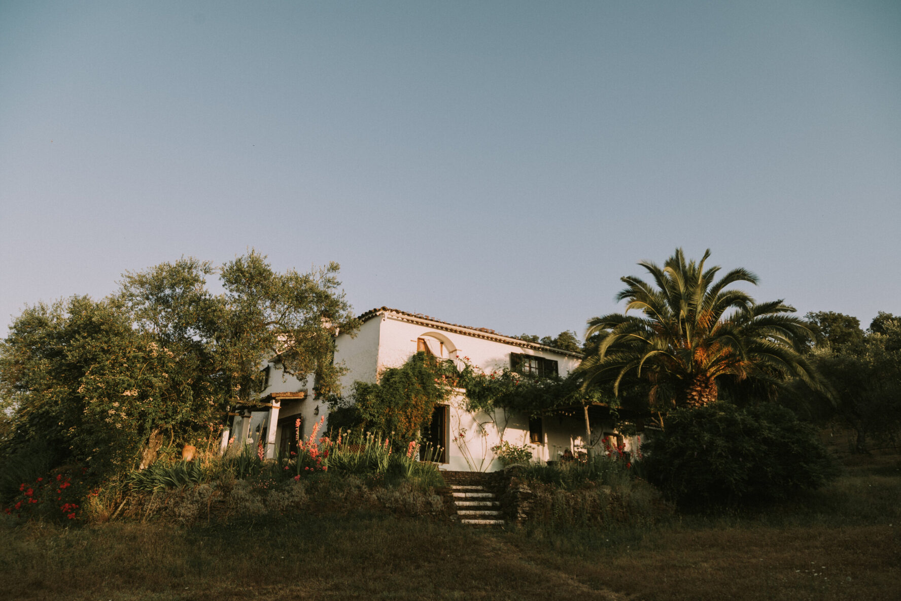 The Finca el Moro farmhouse surrounded by trees and greenery