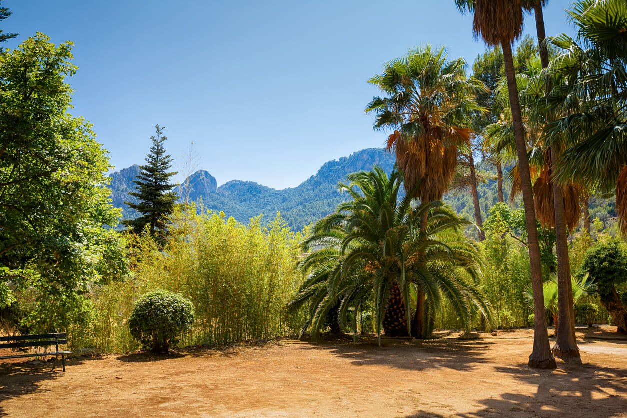 View to the Gardens of Alfabia