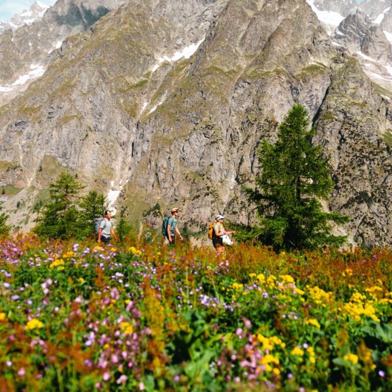 Hikers widlflower meadow and peaks