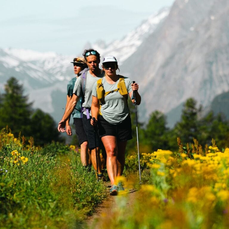 Hikers wildflower trail and mountains