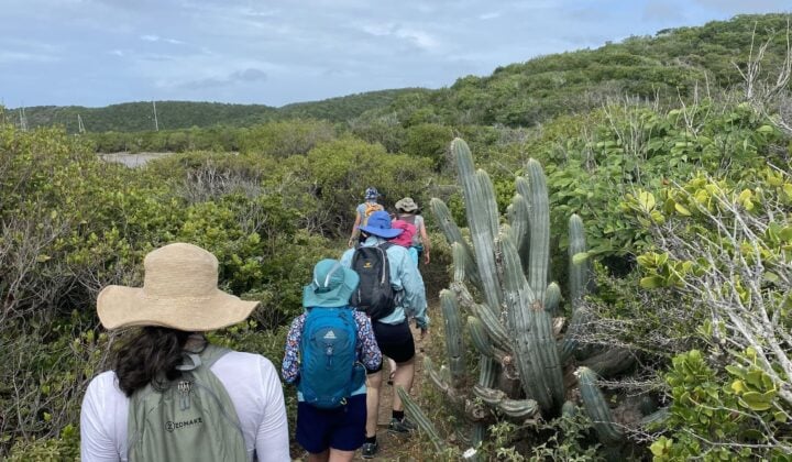 hiking in the virgin islands