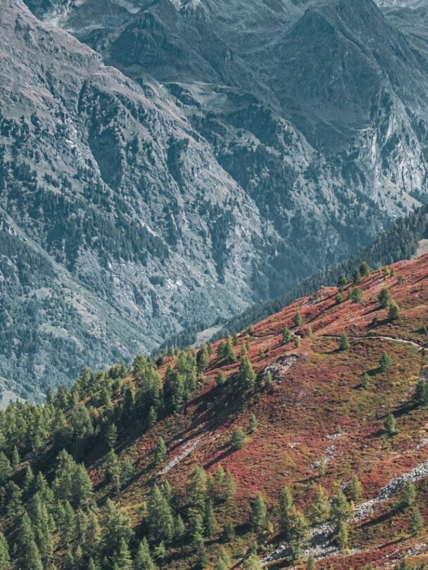 Guided mountain biking in Verbier