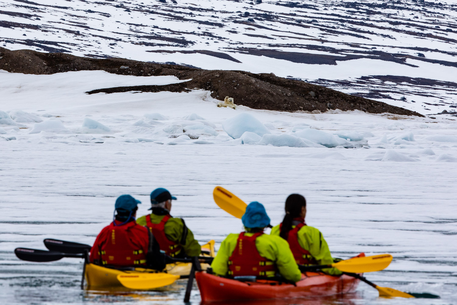 Kayakers observing a polar bear on snowy terrain