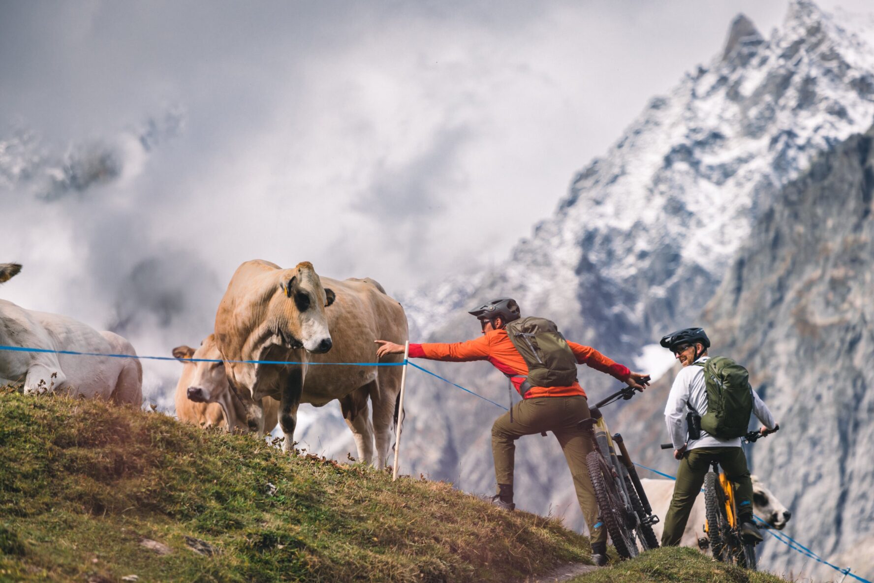 Riders petting a cow in the Mont Blanc area