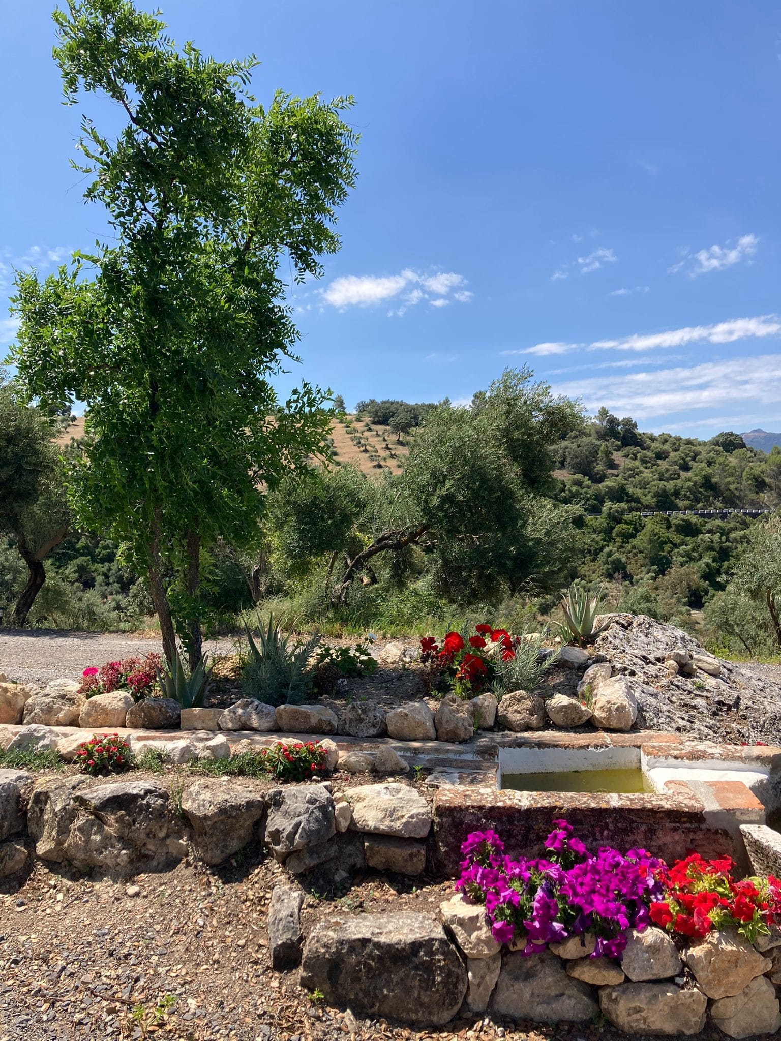 Outdoors in Andalusia, Spain