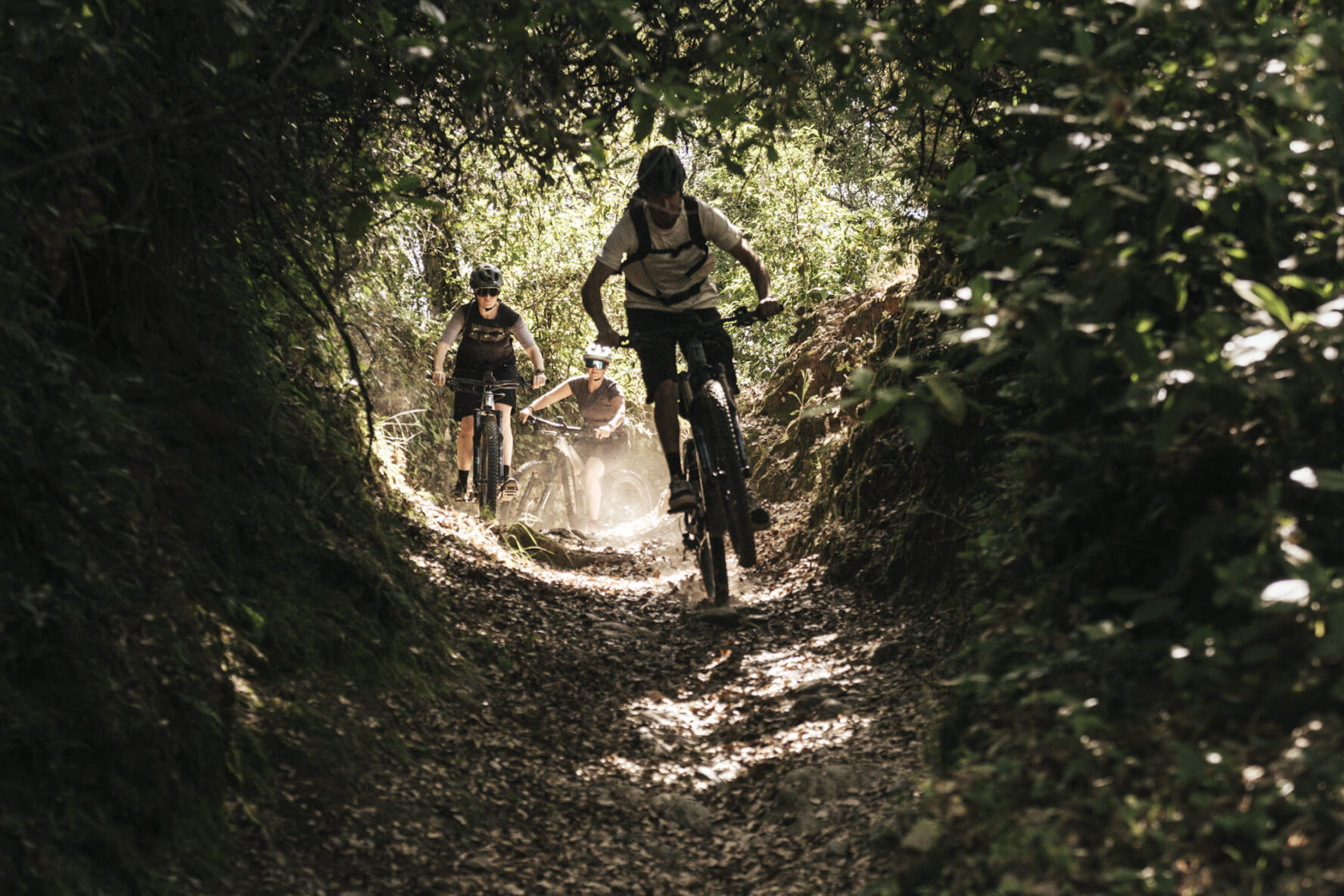 Riding forest in Andalucia