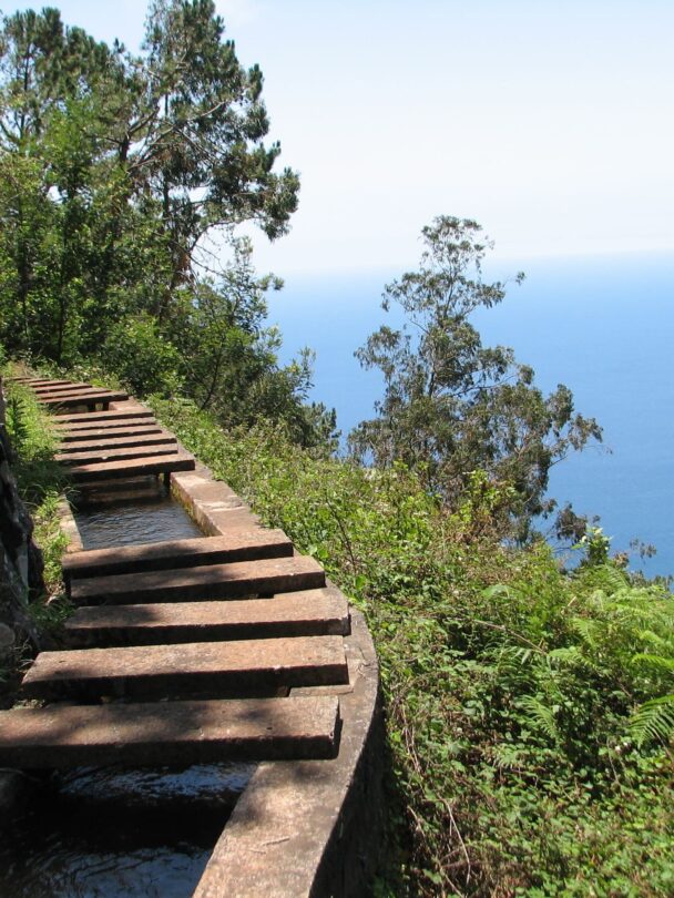 Best of Madeira hiking tour
