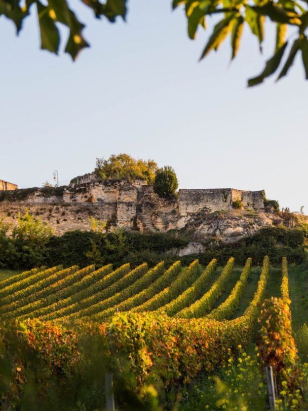 Bordeaux cycling and wine tour