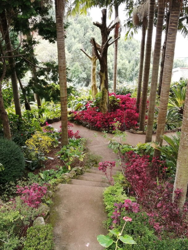 Best of Madeira hiking tour