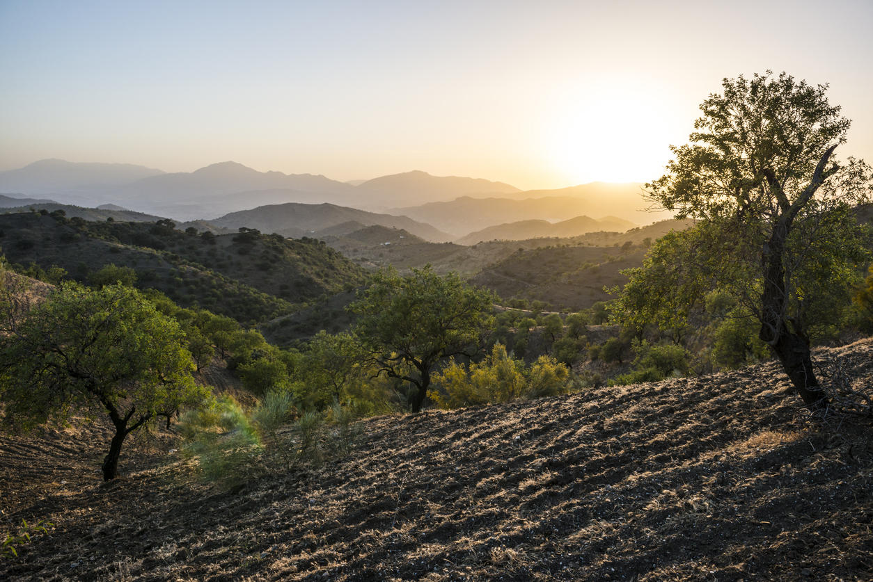 Sunset in Andalucia, Spain