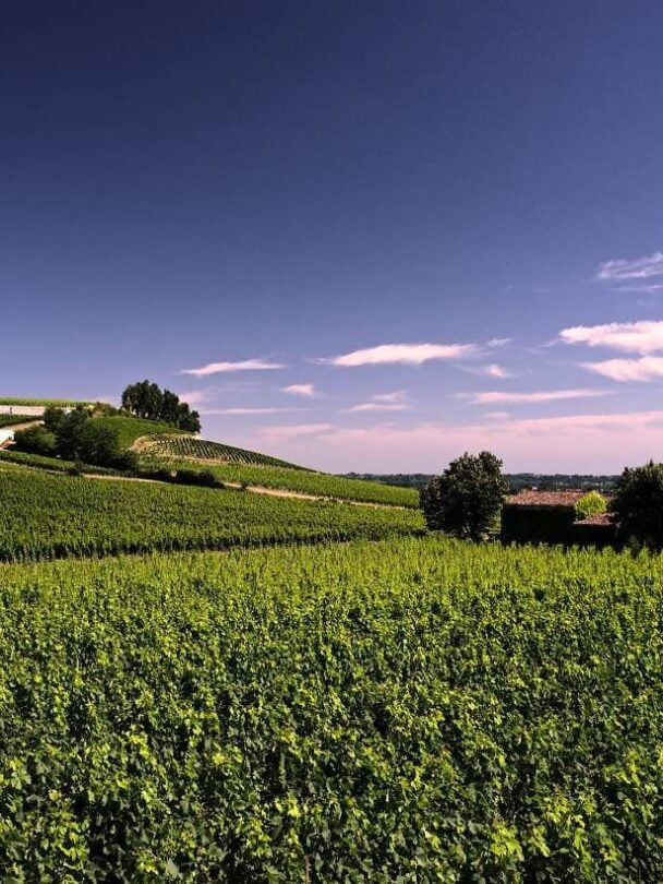 Bordeaux Souillac cycling holidays