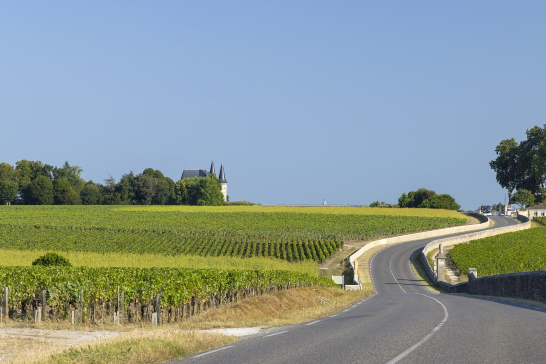 Vineyards near Pauillac