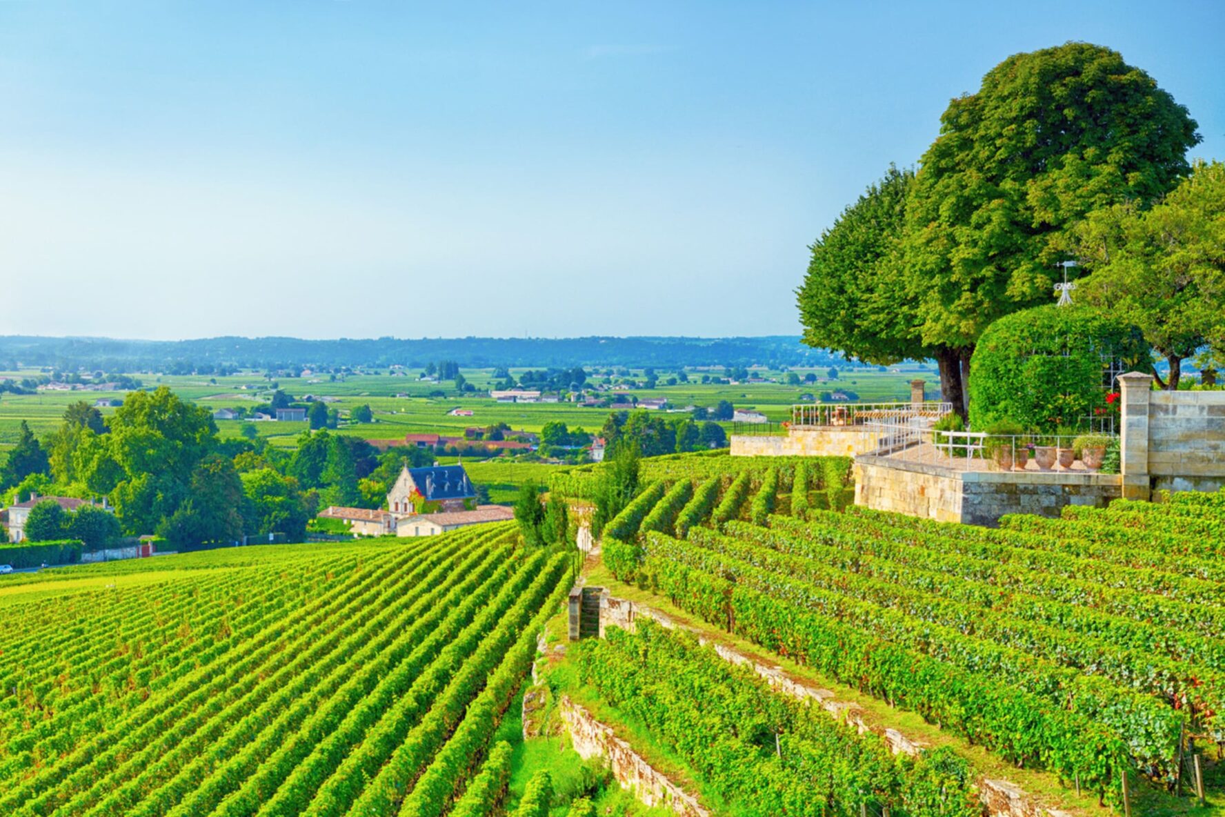 Vineyards St Emilion