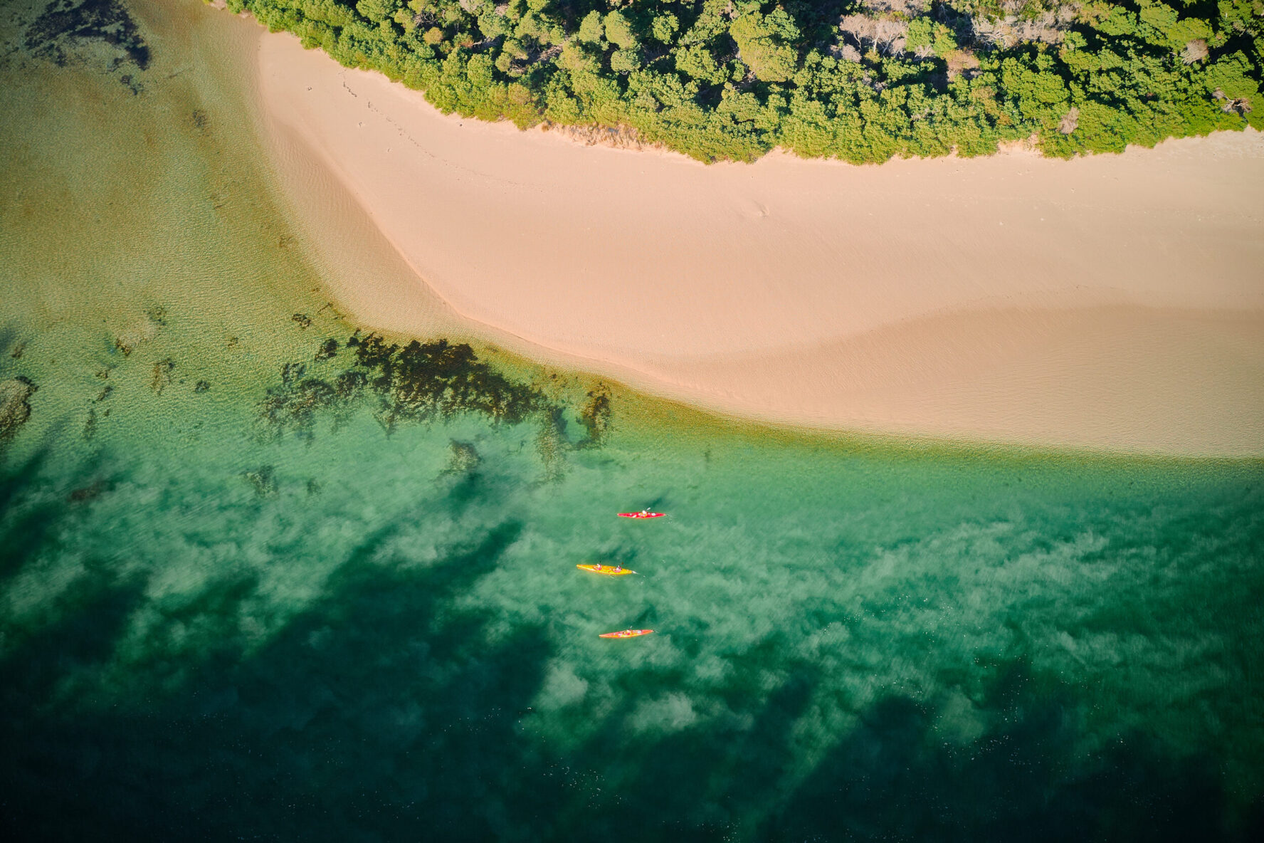 Aerial shot of kayaks near a sandy beach near Bruny Island