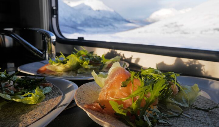 Arctic kebab with elk meat