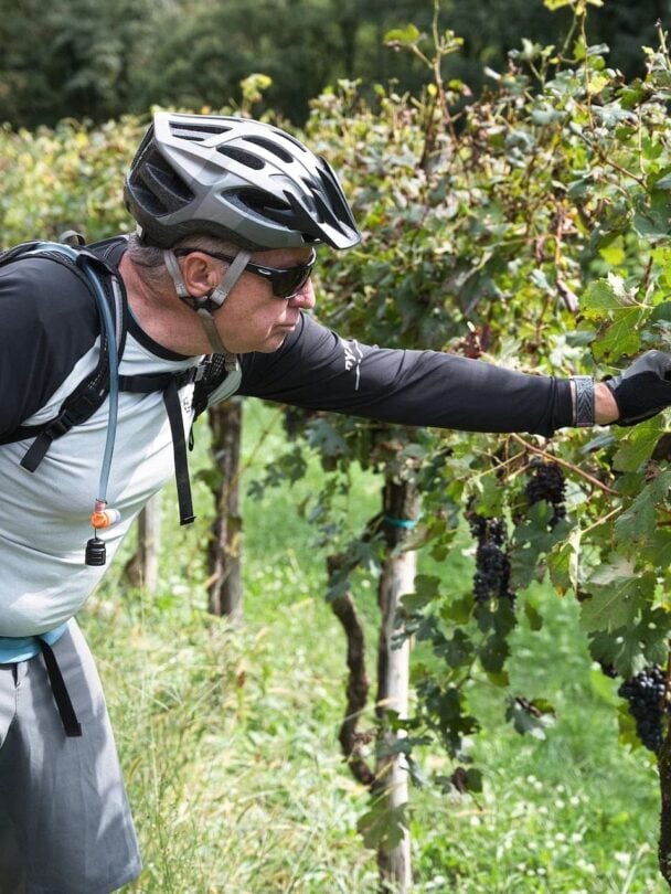 Alps to Adriatic MTB and hiking adventure