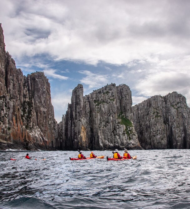 Kayak Adventure Beneath the Three Capes: Tasmania’s Hidden Shores