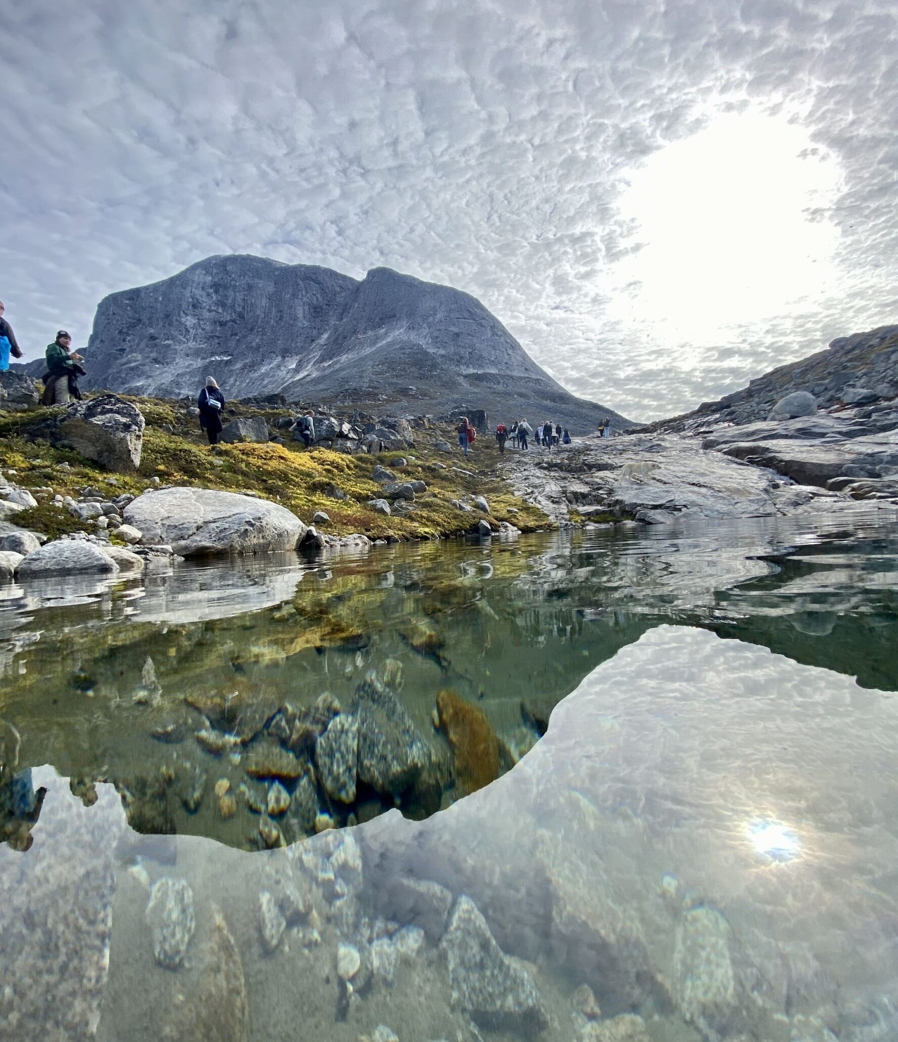 Clear waters Greenland