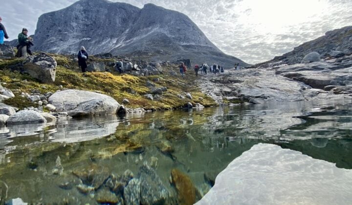 Clear waters Greenland