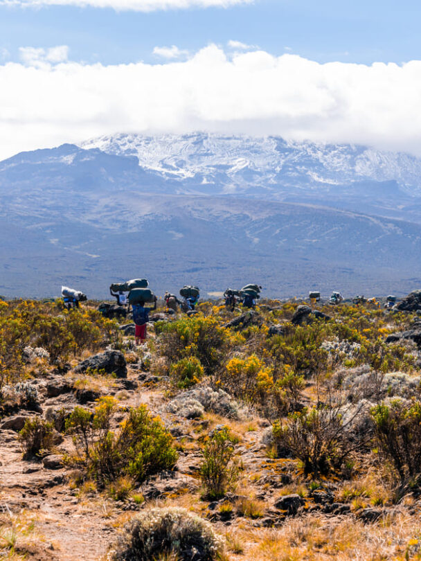 Hikers, Uhuru Peak