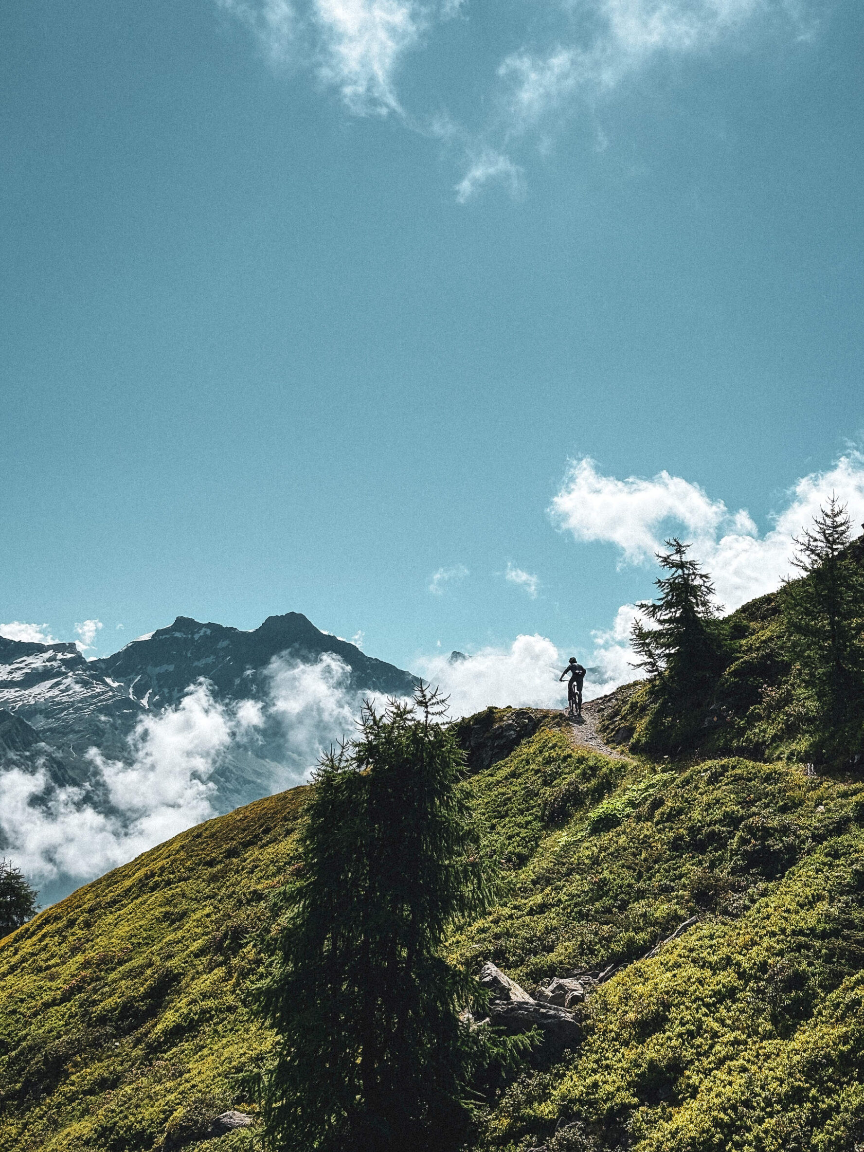 Cyclist on a mountain trail with scenic Alpine views of Valais